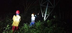 PLN
