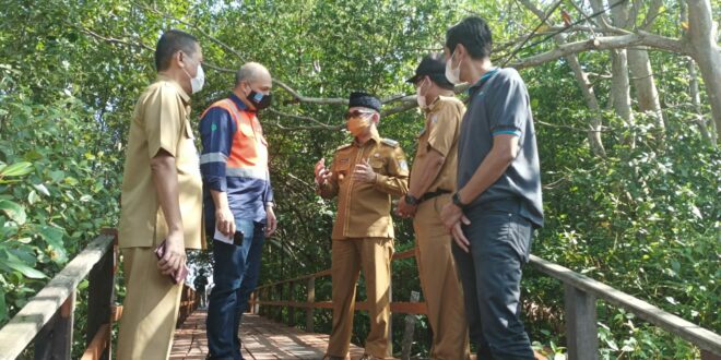 Mangrove
