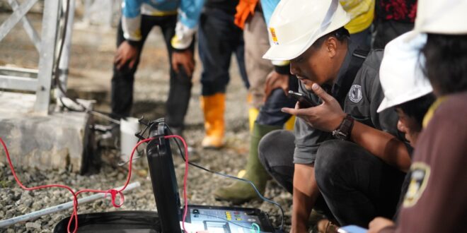 PLN