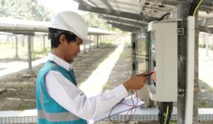 PLN