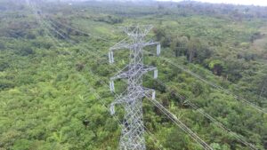 PLN