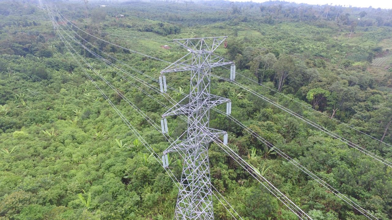 PLN