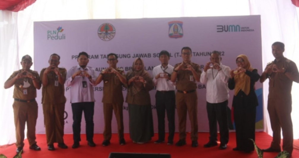 PLN