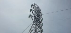 PLN