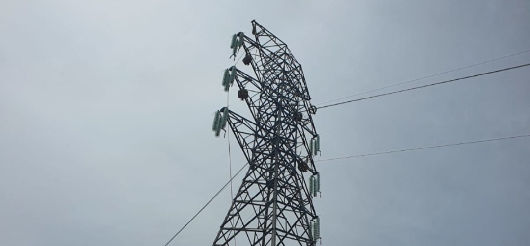 PLN