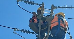 PLN