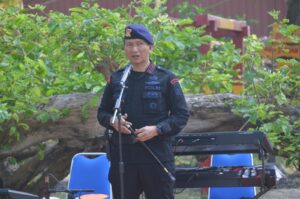 dansat