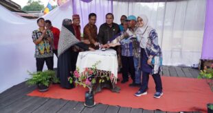 PLN