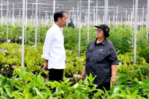 Presiden