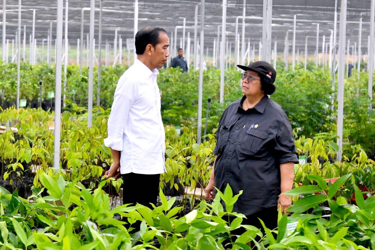 Presiden