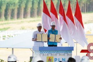 PLN