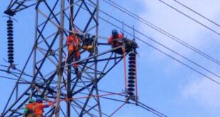 PLN