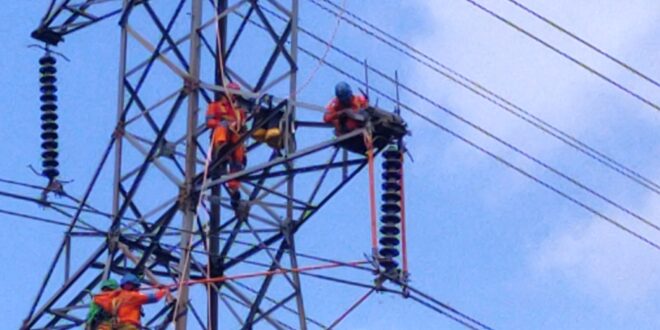 PLN