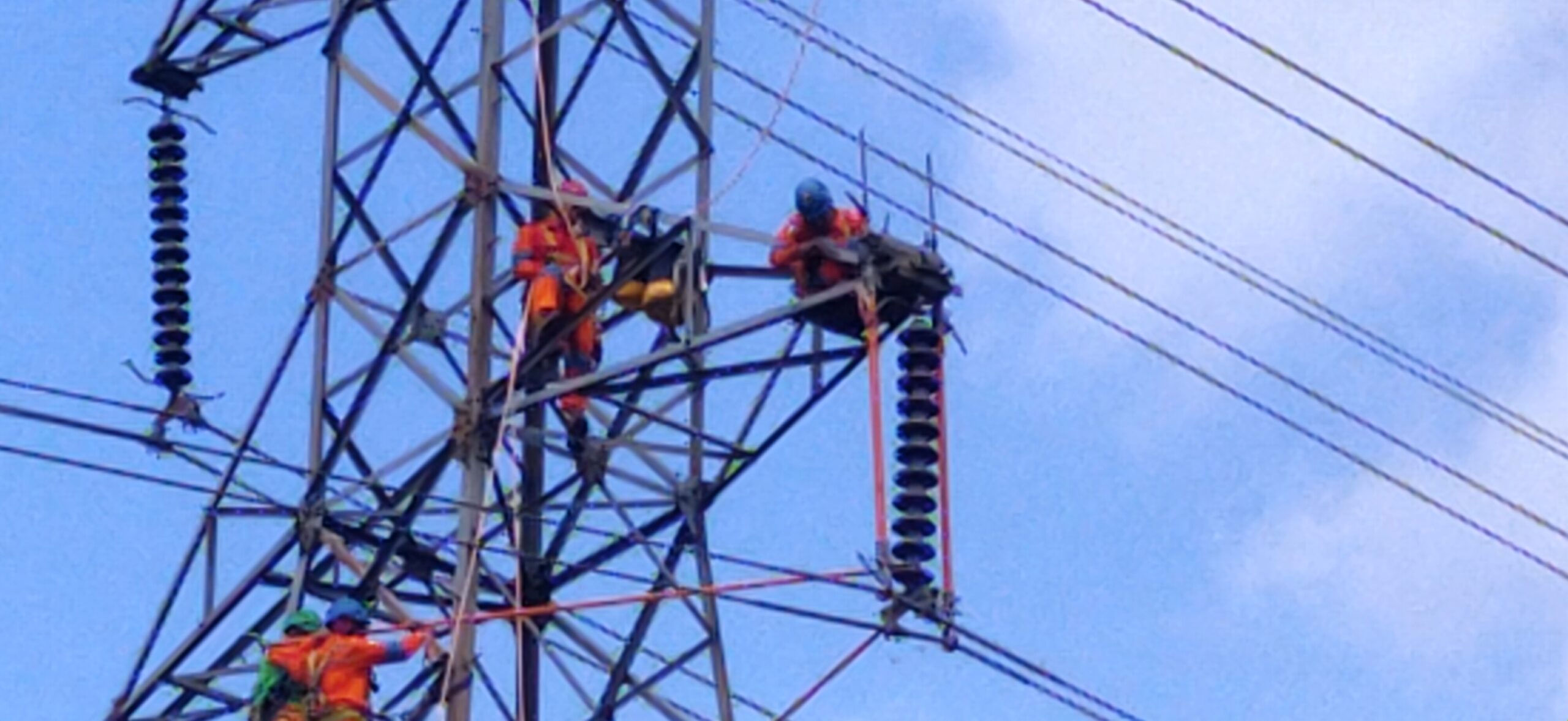 PLN