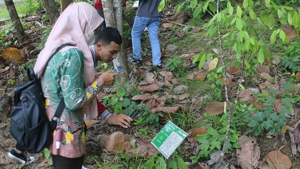 Pemkot Balikpapan