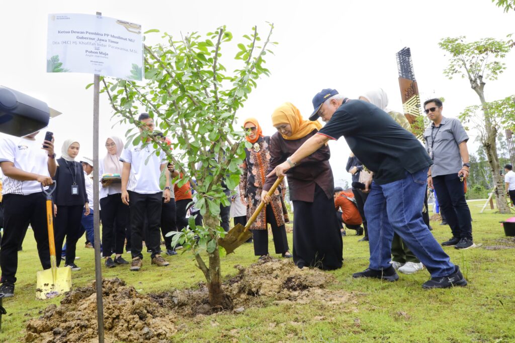 Tanam Pohon