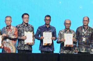 IPA Convex 2025