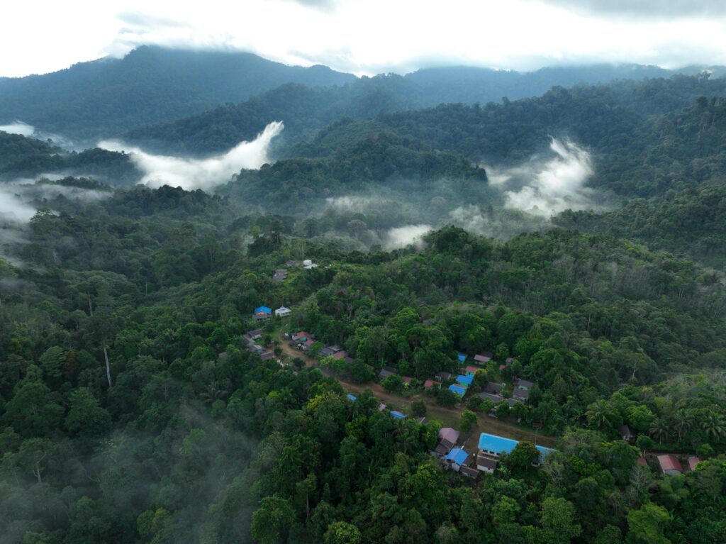 Pertamina