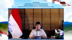 pln