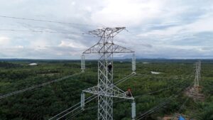 PLN