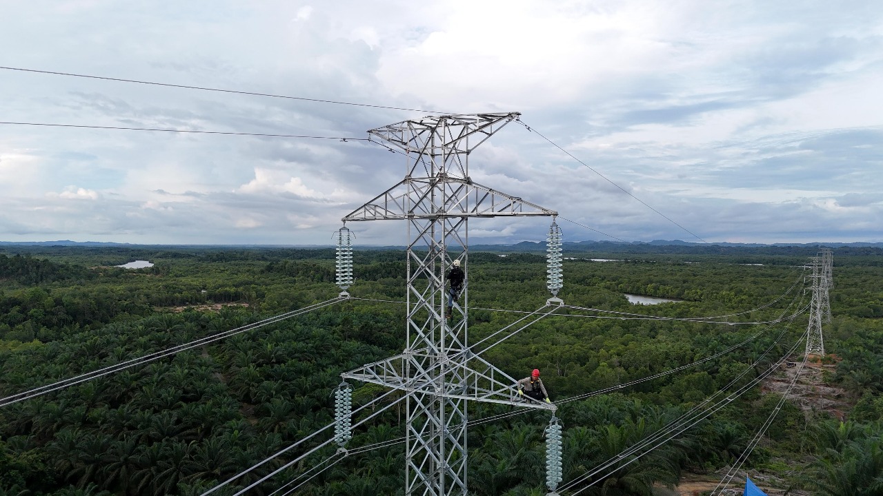 PLN