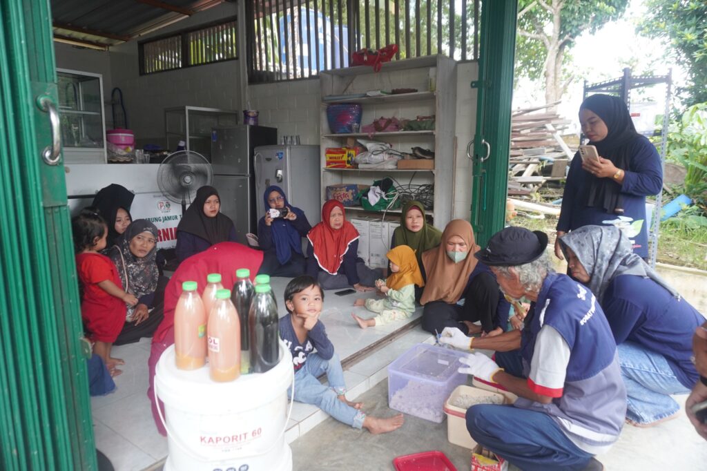 Budidaya Maggot