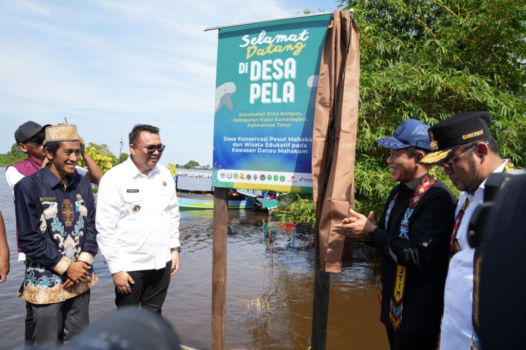 Pesut Mahakam