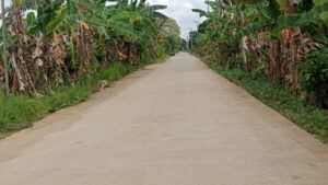 jalan desa beloro