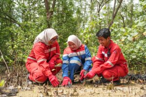 Pertamina