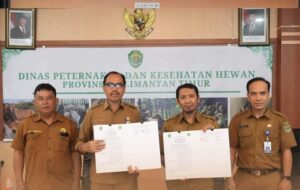 kerja sama peternakan Kukar