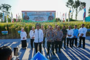 Gerakan Pangan Murah