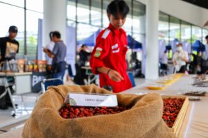 kopi liberika Nusantara