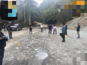 Brimob gugur di Papua