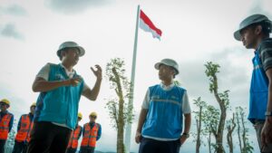 PLN IKN