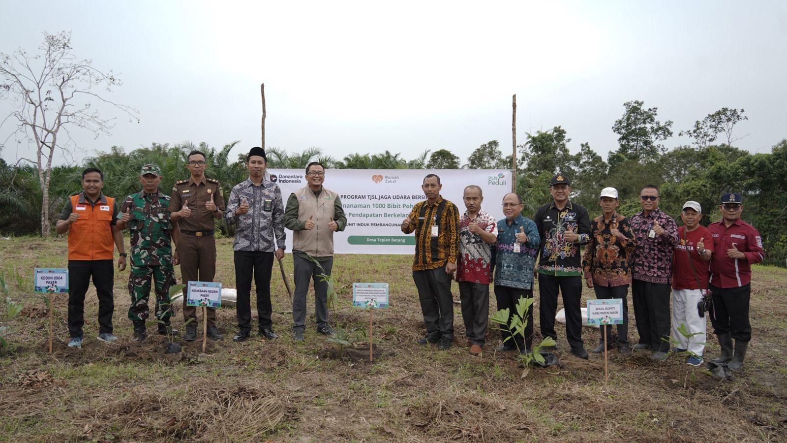 PLN tanam 1000 pohon aren