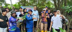 penanaman mangrove Balikpapan