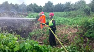 Brimob Kaltim padamkan karhutla
