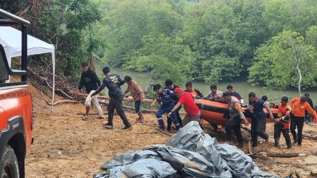 buaya Sungai Kariangau