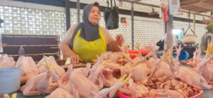 harga ayam Balikpapan
