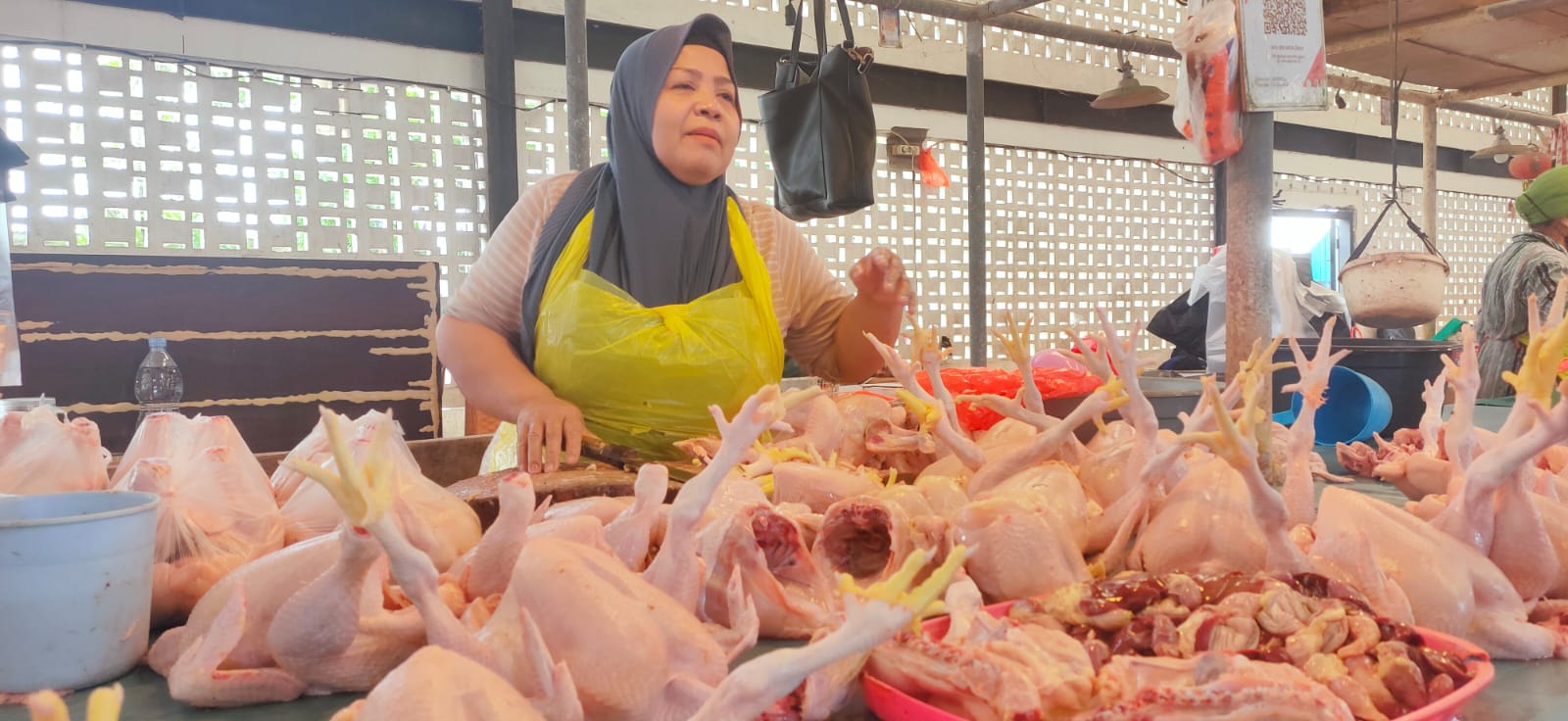 harga ayam Balikpapan