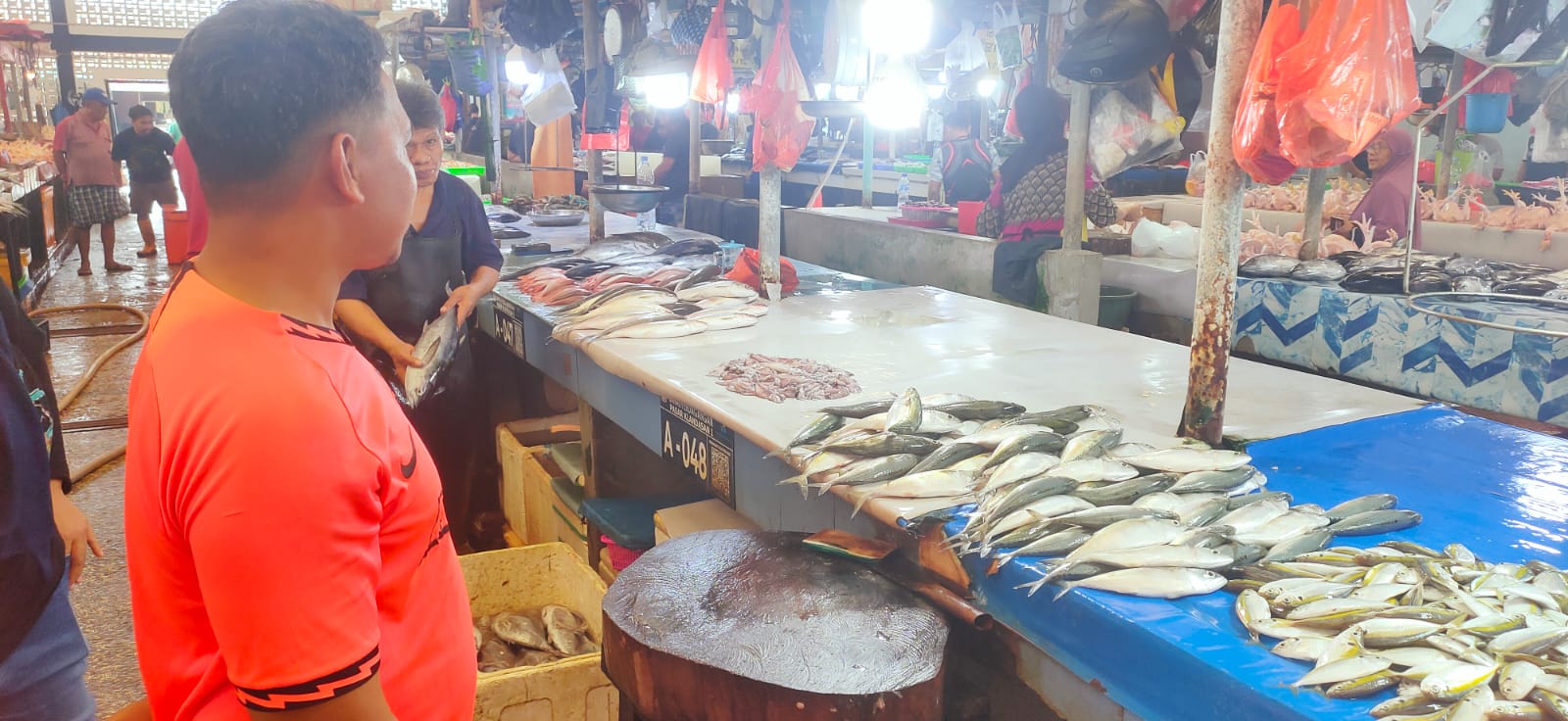 harga ikan