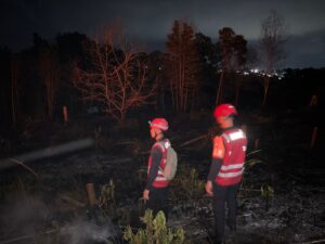 kebakaran lahan Balikpapan