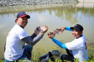 ketahanan pangan IKN