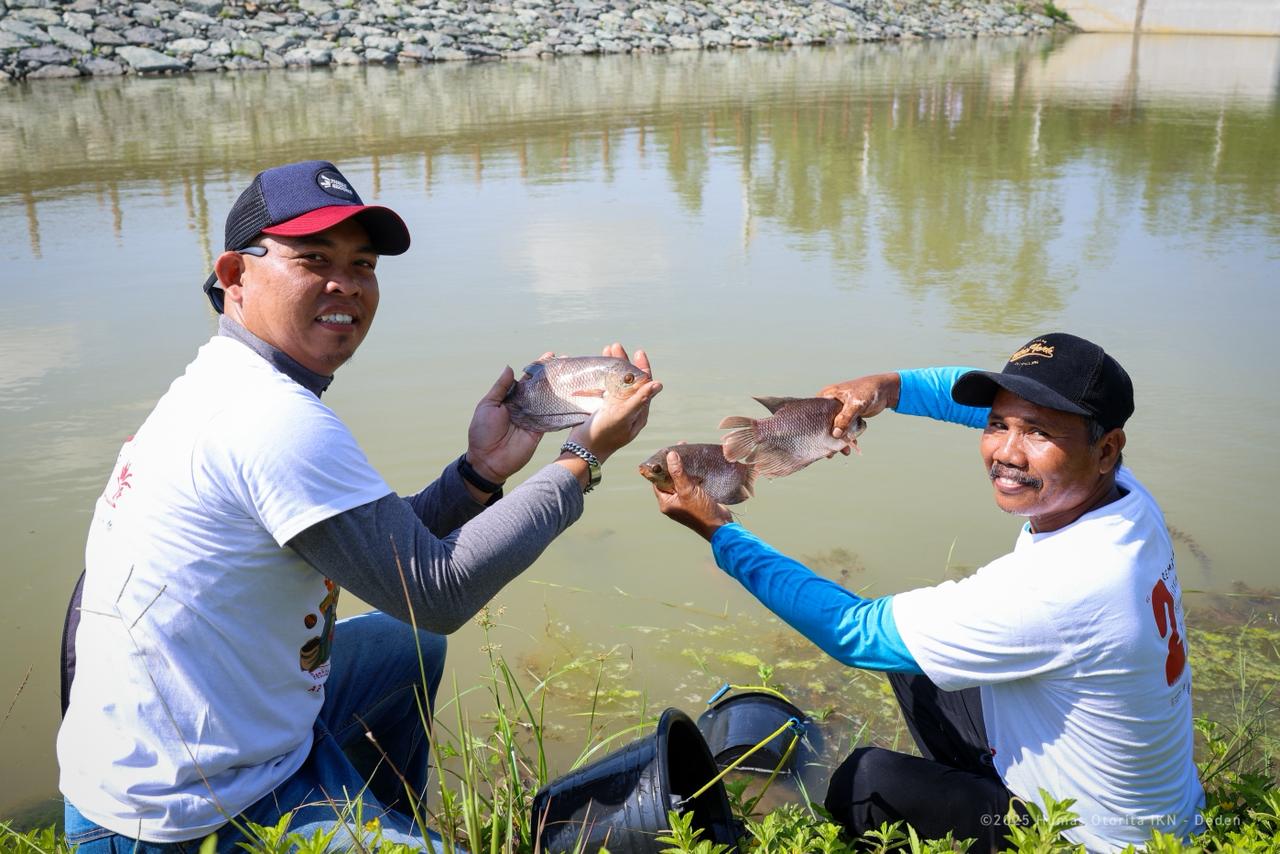 ketahanan pangan IKN