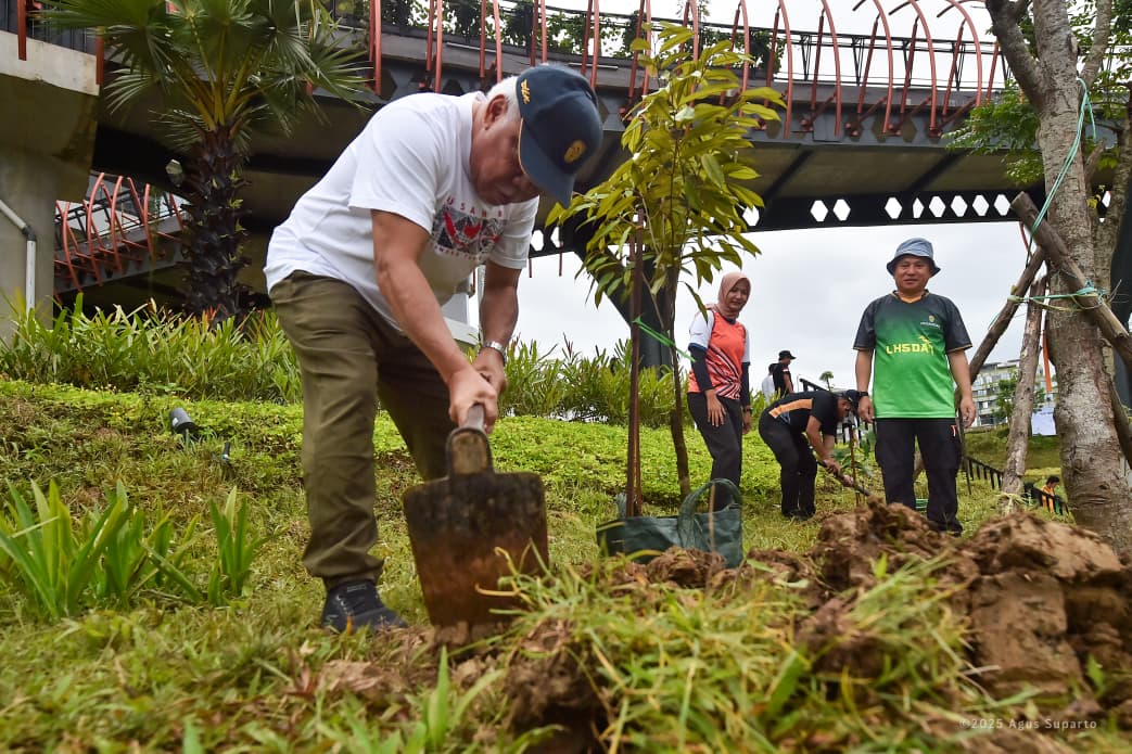 IKN tanam 500 pohon