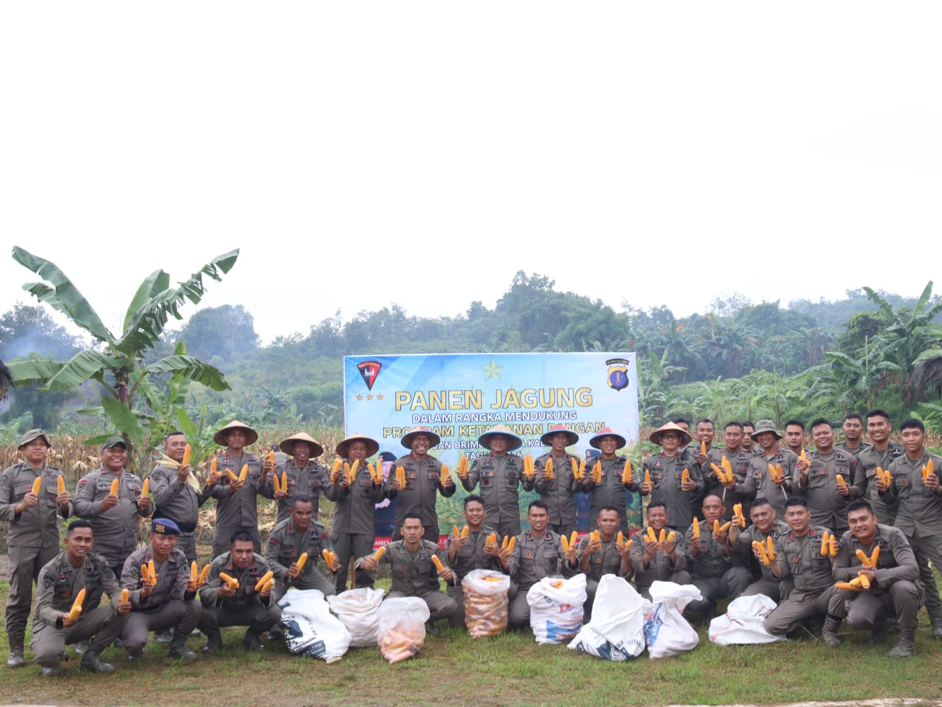 ketahanan pangan 2026