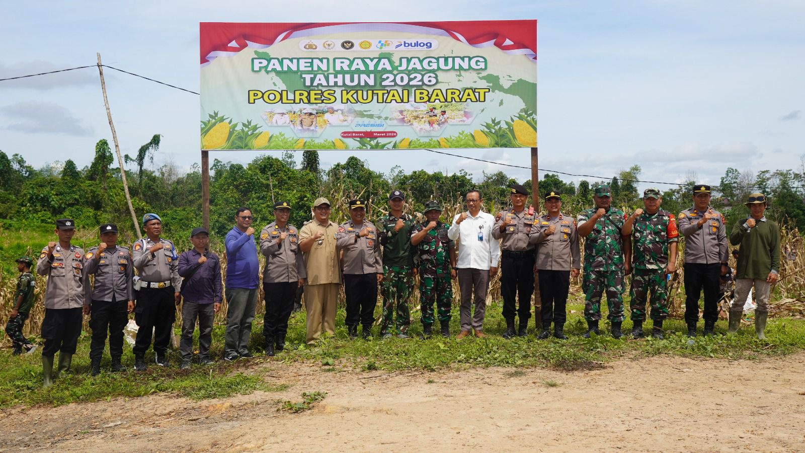 Panen raya jagung