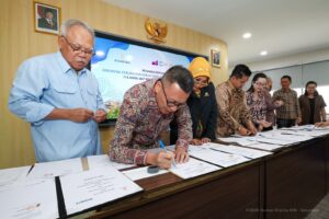 investasi IKN