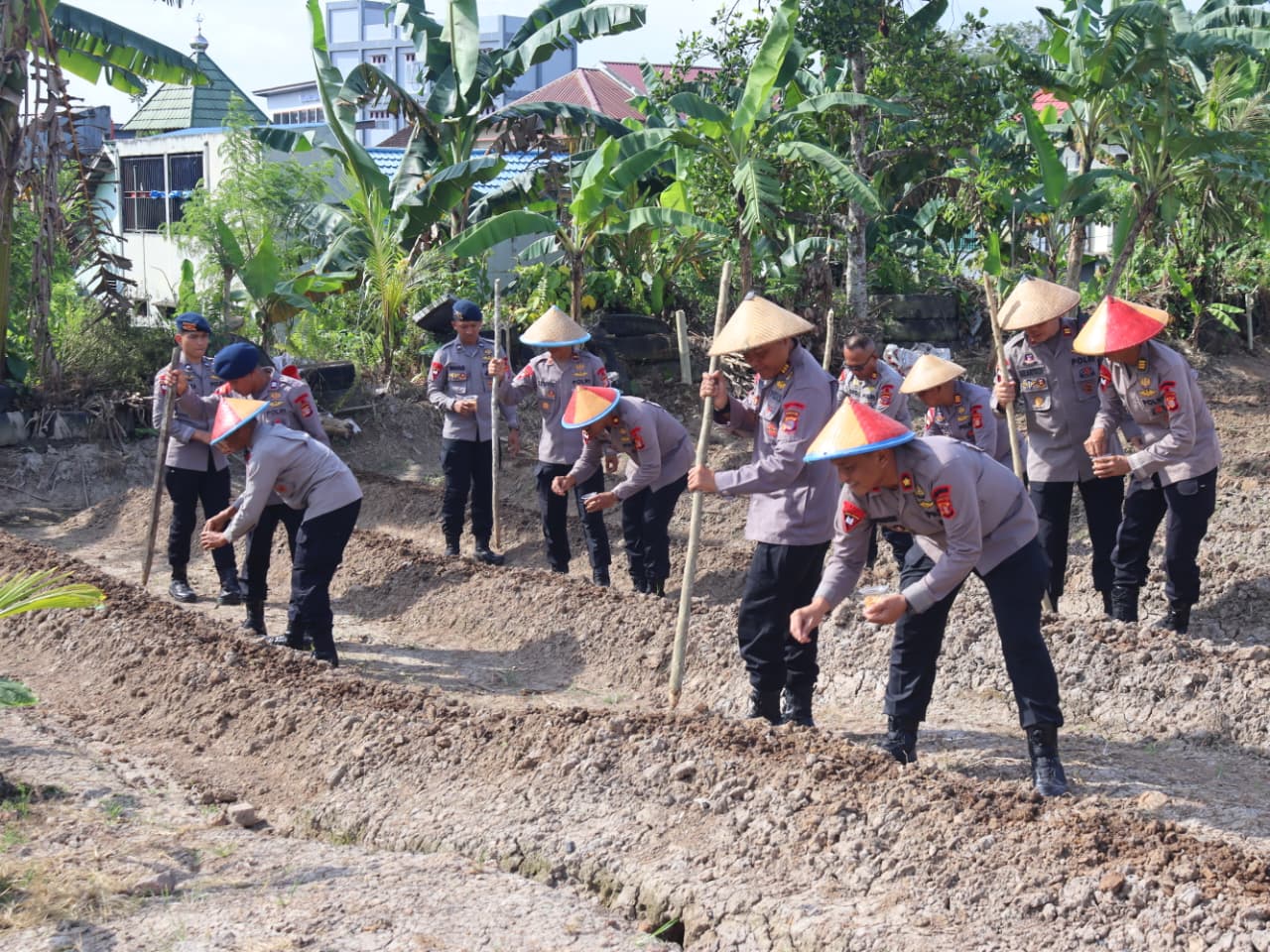 ketahanan pangan Samarinda