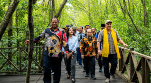 Ekowisata mangrove PPU